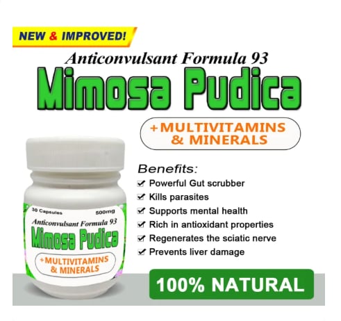 ANTICONVULSANT FORMULA 93 MIMOSA PUDICA